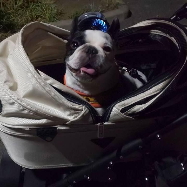 E70db19c fab8 449a a9be 418d5c8d48b8 1565278492990