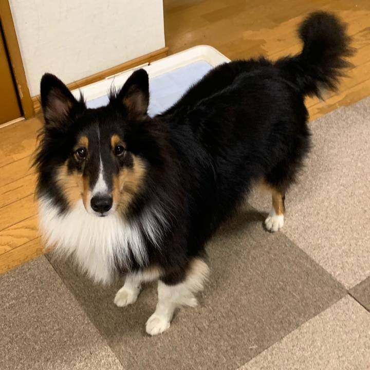 E70dc082 3f29 4c63 ace5 fb4a4e7a4cbc 1572990122883