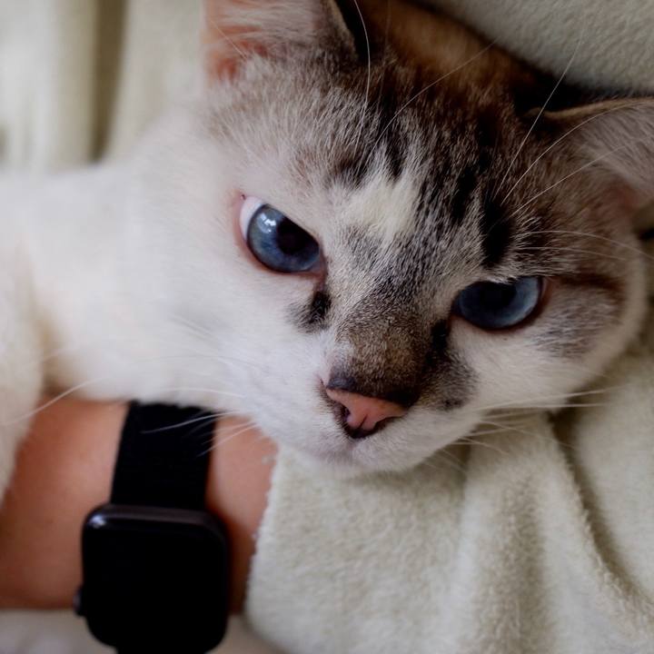 E70e380b 0cd2 4057 b6b2 55727cf331a9 1615765232548