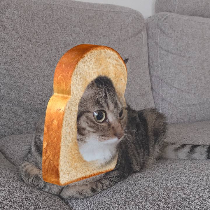 E70e3e4c 6587 421d 81d5 b4c7c8c03388 1566832611677