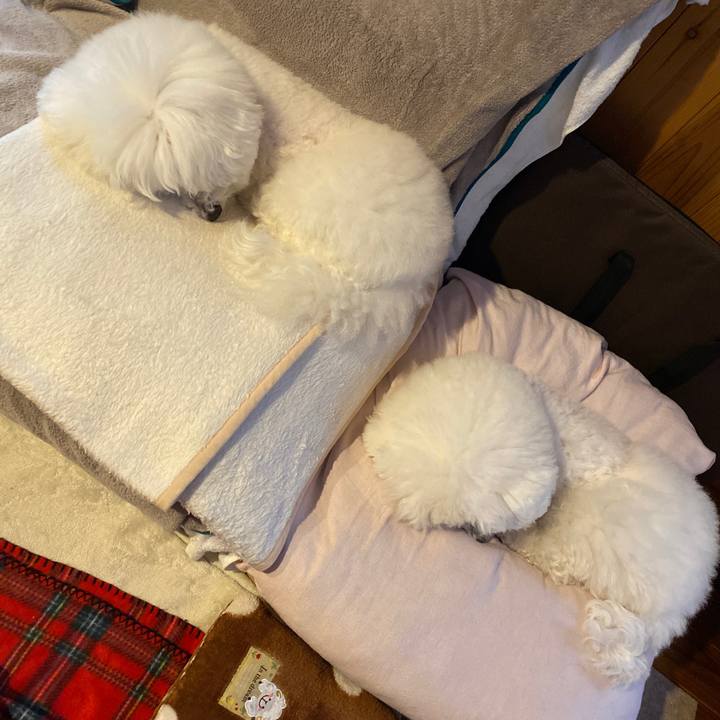 E70e4ab8 4cfc 4477 81c9 7a20d8886f71 1611819900987