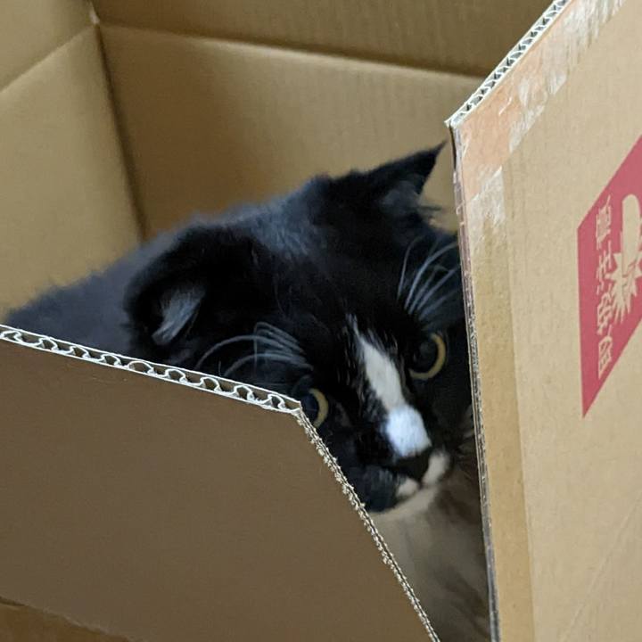 E70e552b a04f 42ac a49c 61c5012bfdea 1668133116940