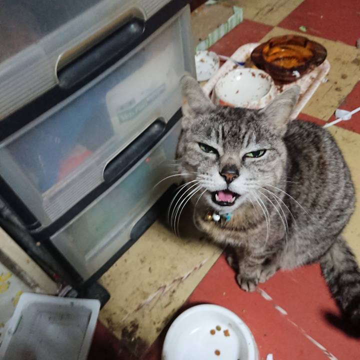 E70e64b8 61fa 41cb 94d3 cad3b8aeb1b7 1560109069268