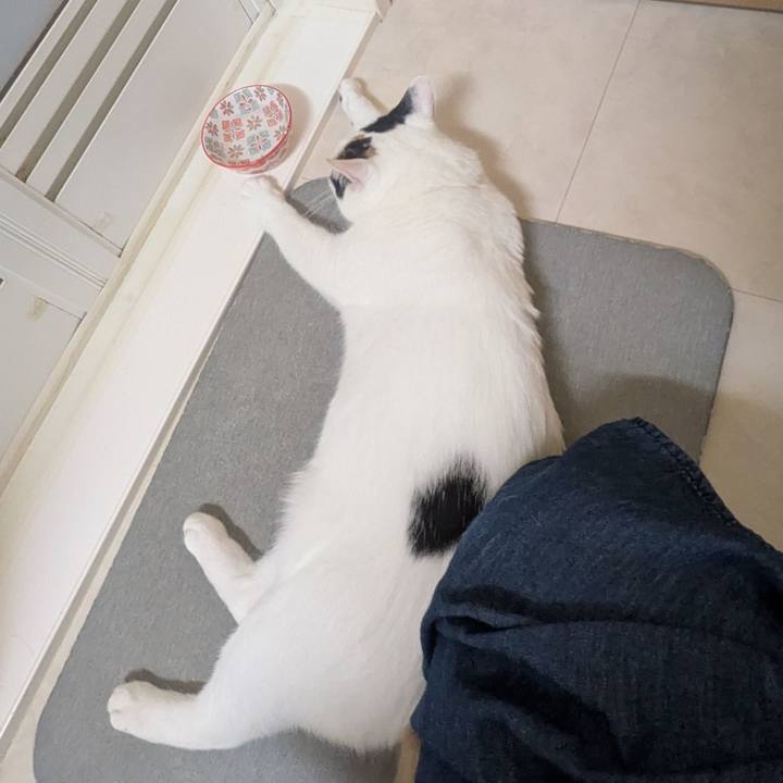 E70e6dbb 146d 4612 9f30 92d18c8feccc 1755239491670