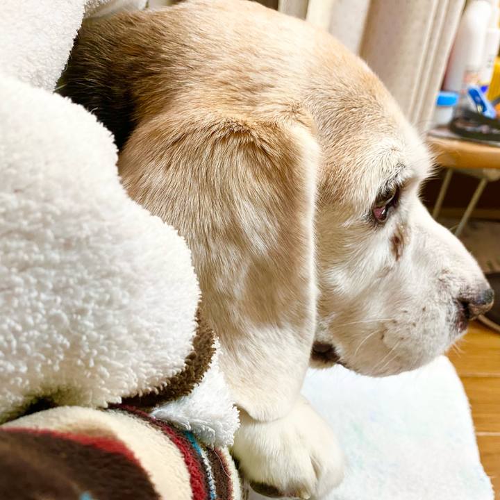 E70e730d 00d0 4fa8 a3b5 892b18c03a6d 1668744707811