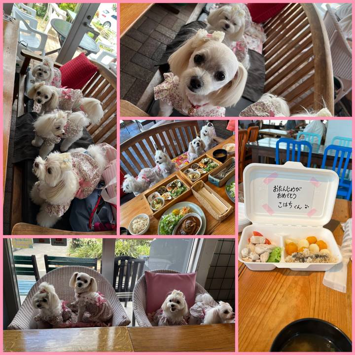 E70e90dd 5de0 4c57 89c9 a095bfb80472 1690963126884