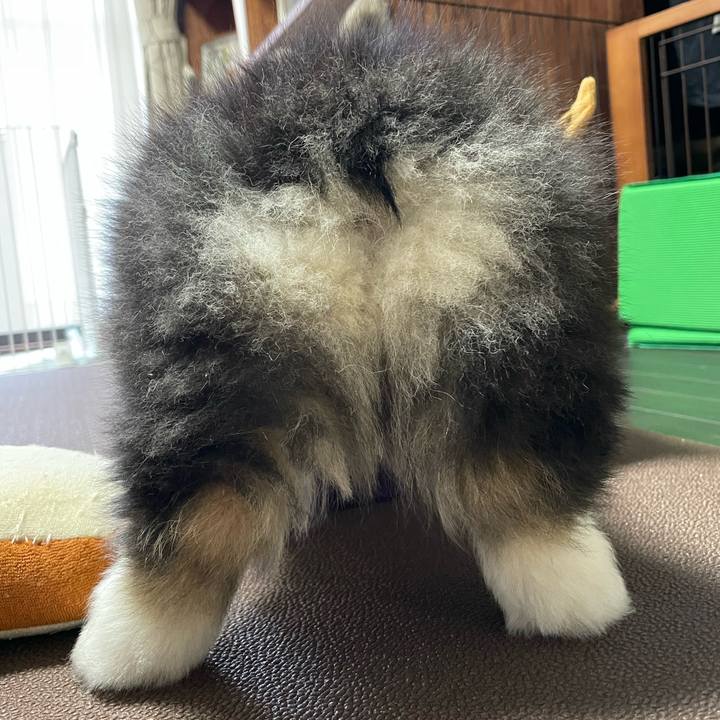 E70e9575 9037 4319 b471 08b6a2874ed9 1770211445599