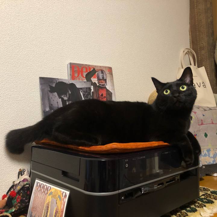 E70eb4ca 40f1 4154 be64 f7d9905619d7 1574428320445