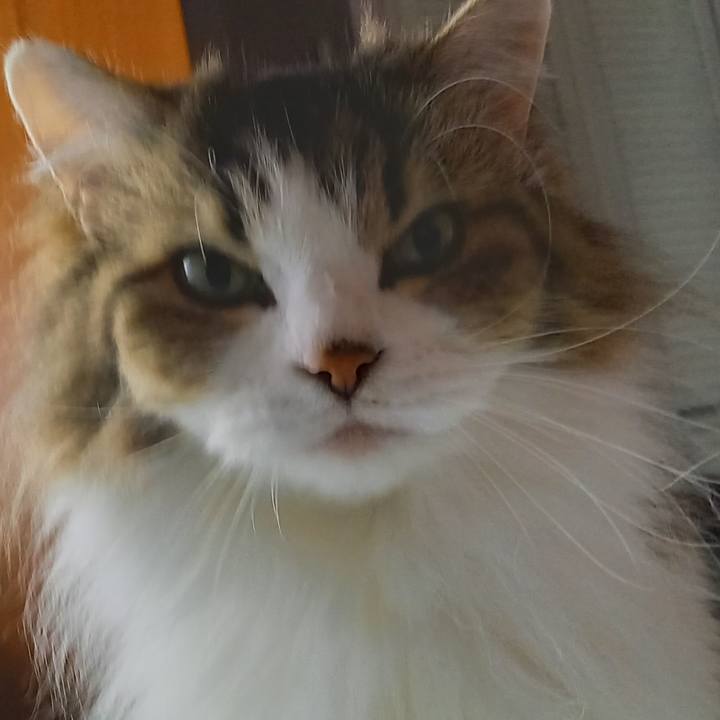 E70eba23 c9d5 4dfe b9af 608c2b89fa6e 1634414316382