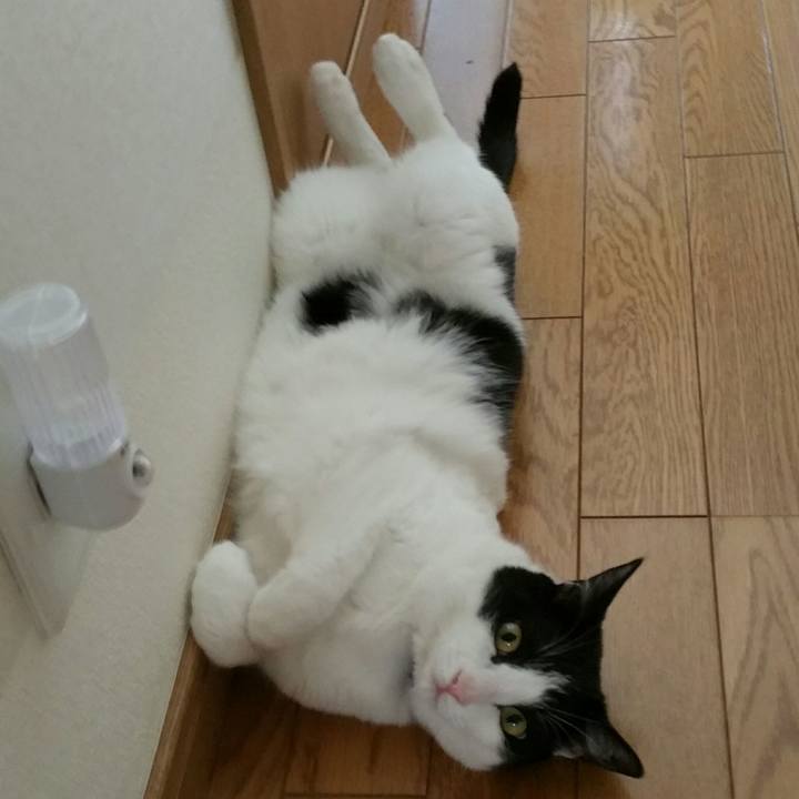 E70edd1c 7599 4a8c 911c f163af996ef9 1530571474284