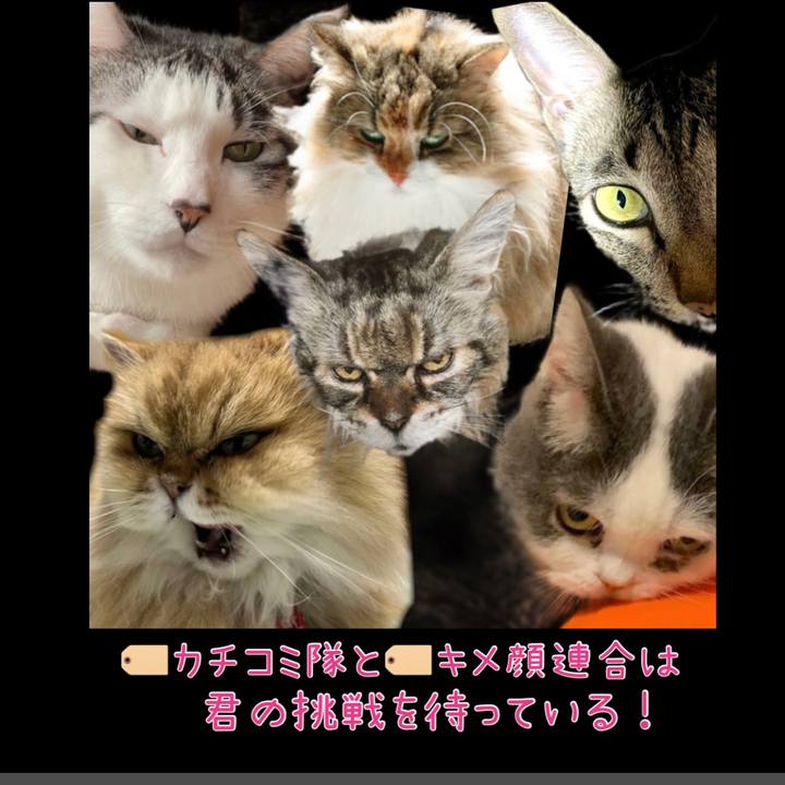 E70ef9e6 8f60 4a0c 927f 34d737f0536f 1688204539710