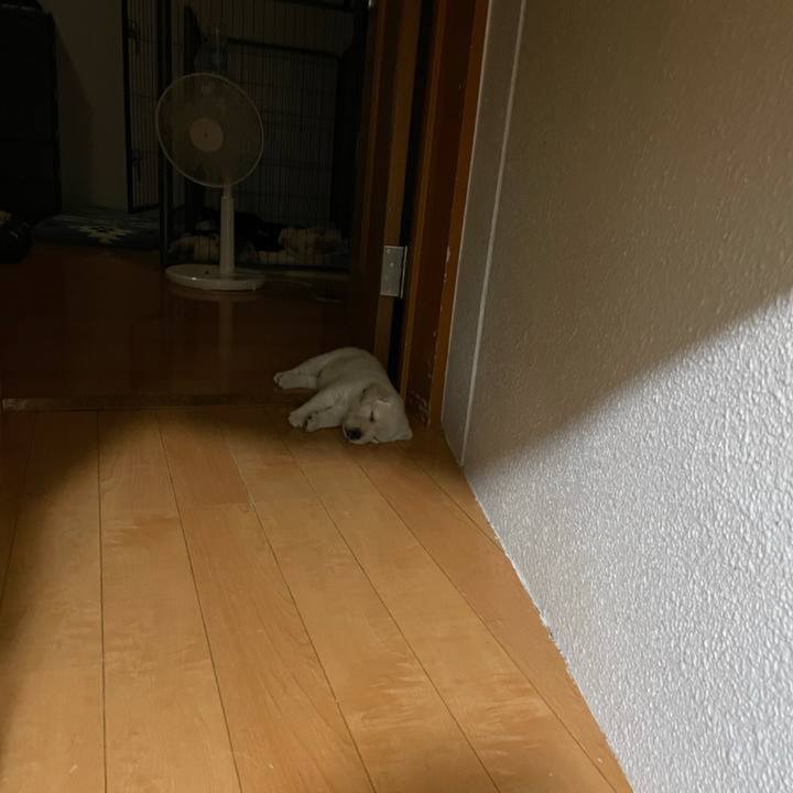 E70f1523 1977 48b6 883a eea7c1f7366a 1642593036171