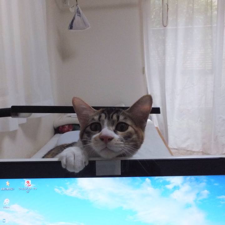 E70f3c1e 69e5 41e0 93e1 5bce52c1944a 1631242376503