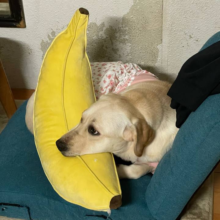 E70f6dae cd32 4e86 9301 1a7f25d94ea7 1640037178837