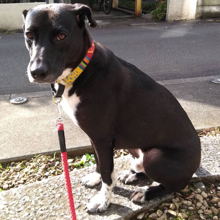 E70f6e85 ecdf 40b2 847d 0dafe03622f0 1604279548294