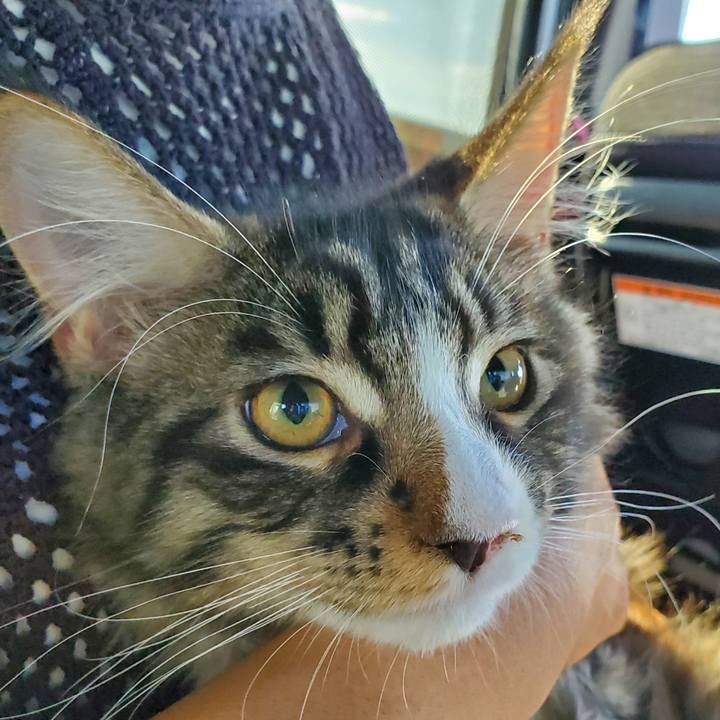 E70f7b46 9def 484c a9e8 ca2696f551a0 1662033733778