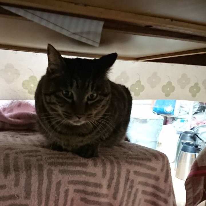 E70fa32f 3537 4de0 ba96 b5758e988a16 1641848141223