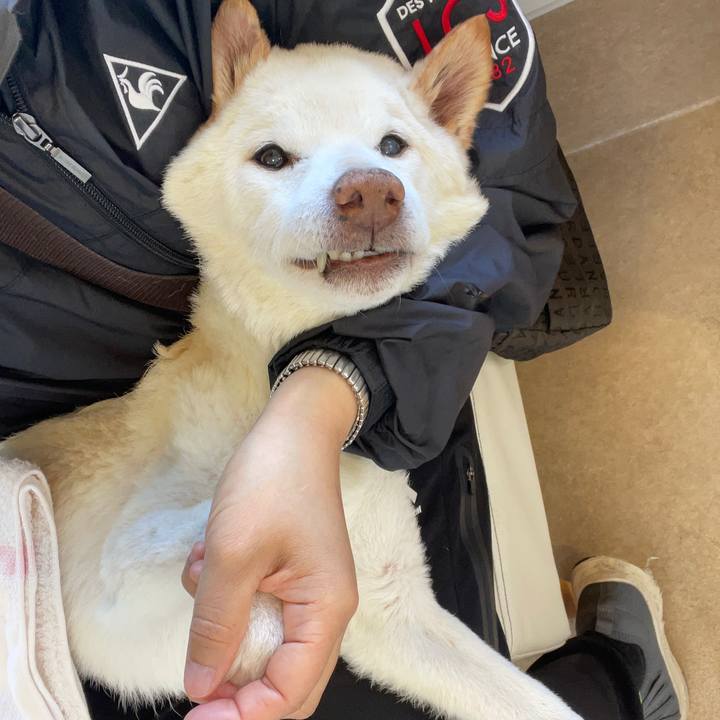 E70fafe0 896d 48af a137 8f9604660dc6 1679884871910