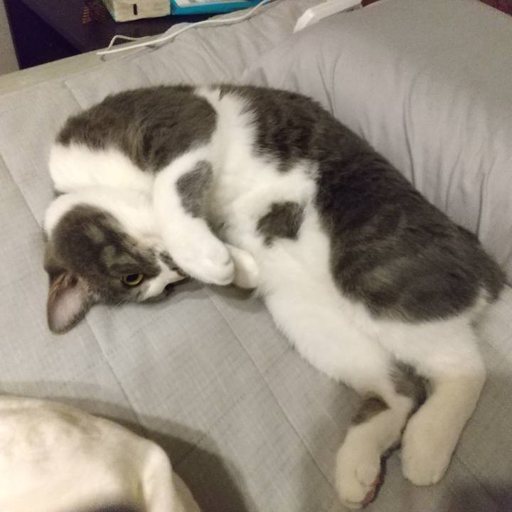 E70fccd1 3d3b 4223 9cf8 d80005d28c24 1629539640881