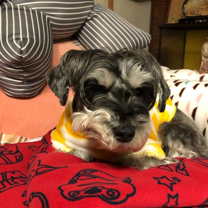 E70fd5ca d5f4 4326 abbc 46bddbeeb391 1673495332022