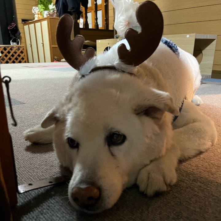 E70fd918 dcac 4433 b6e9 05a5af519f9b 1766618665954