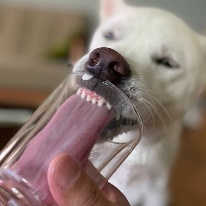 E70fe5d1 c23c 4d41 95f2 9024d826e28b 1660373511149