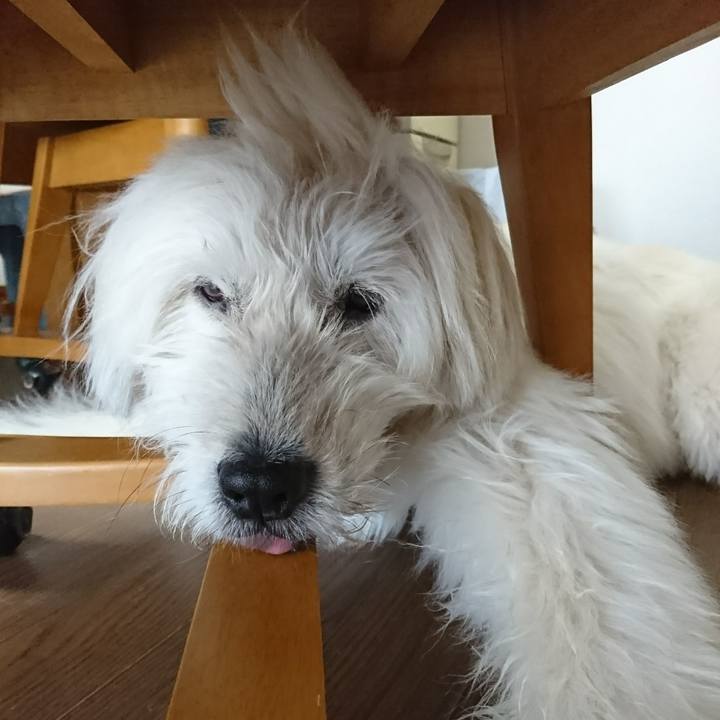 E7104171 d926 4db6 a72a 9af835195449 1603605568478