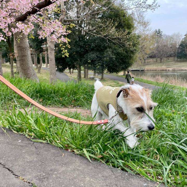 E7105332 d331 4d4b 8137 cd85dd079ed9 1648713084657