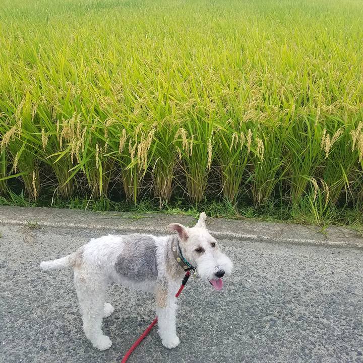 E7106ae4 f754 4fce ba52 a0eb248ff010 1567332184393