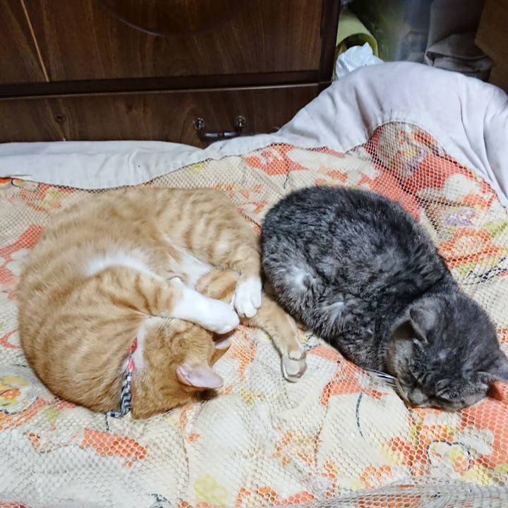 E710ad24 a7bb 4632 a074 2e91da2f25d0 1572522946745