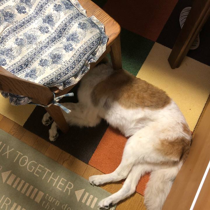 E710b5c8 c9d7 467b 9b25 d54f40e97cd0 1535584885456