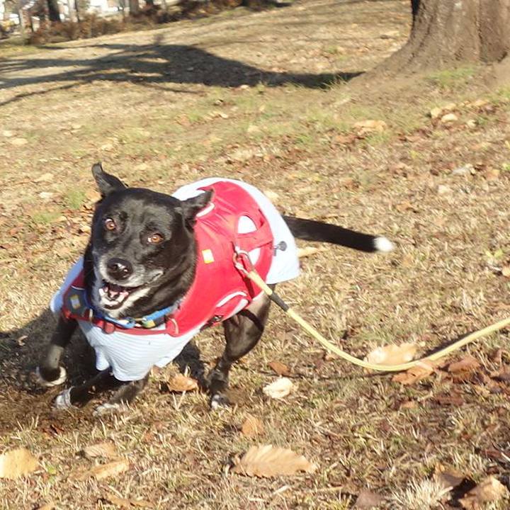 E710bc19 5659 4f07 a4a5 90909eebb60e 1673227759413