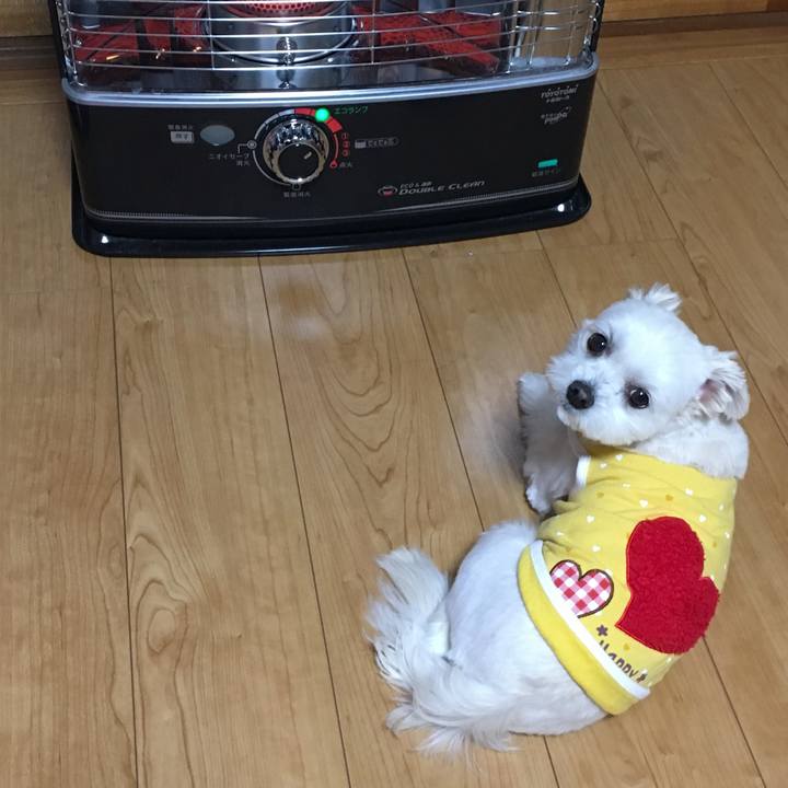 E710c20a 5165 420d 825c 5c5f82d6bc2c 1551591426910