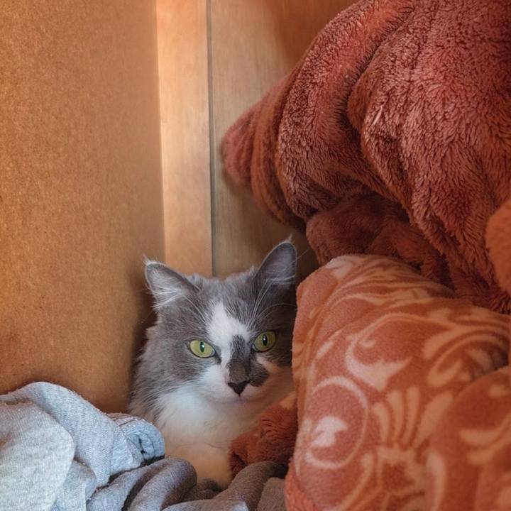 E710ca25 0bee 454c 8716 3237e7a2578b 1763183529055