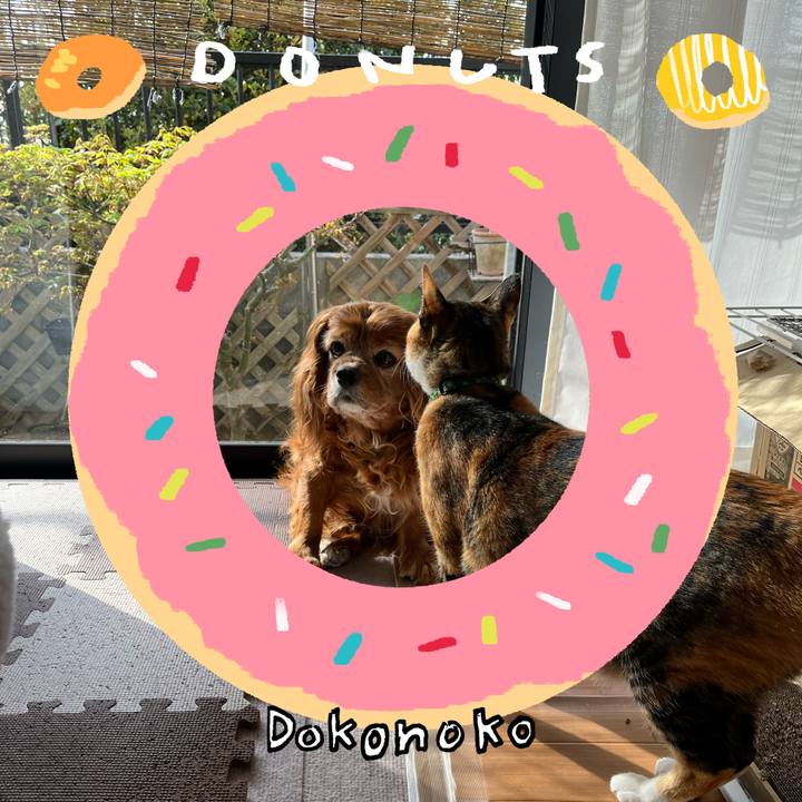 E710d49c 5568 4617 966c c71327a4d73e 1744844026945