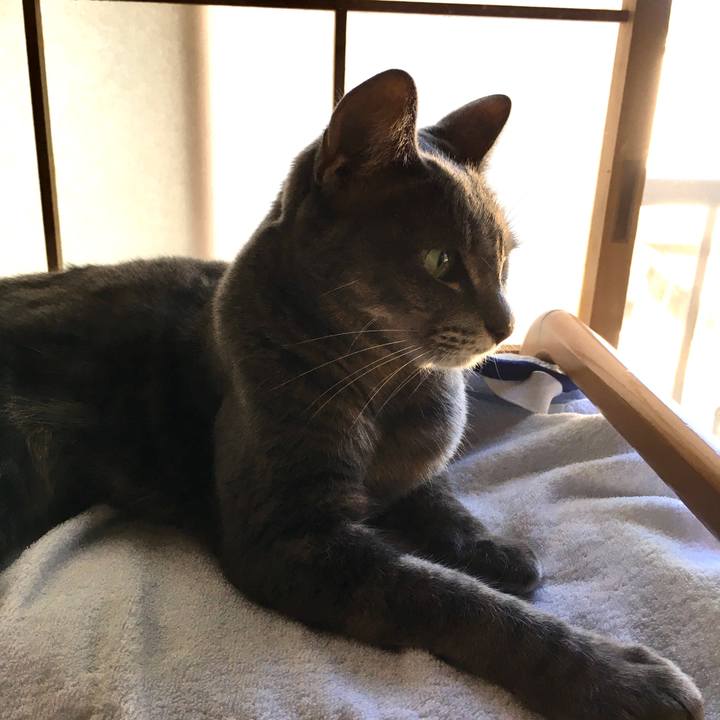 E710da34 f05b 4df9 9e9a 595686380a08 1570930042645