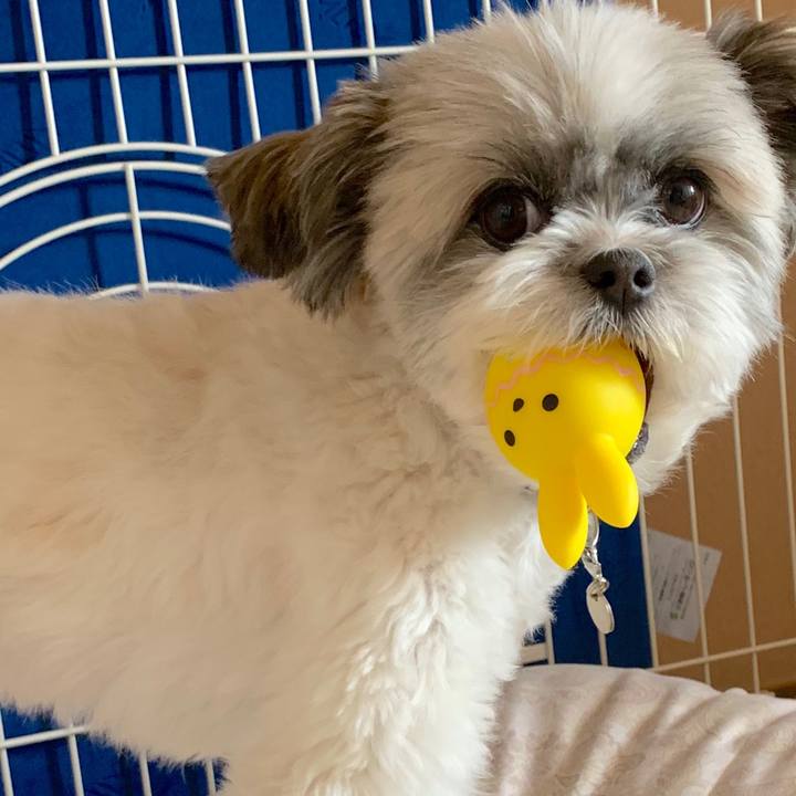 E710f37c 1d79 48bd 9bf3 01cfe3f144fb 1557466999866