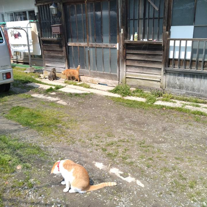 E7114bba c1b5 4baf b601 0179e0c0f3f2 1744882057827