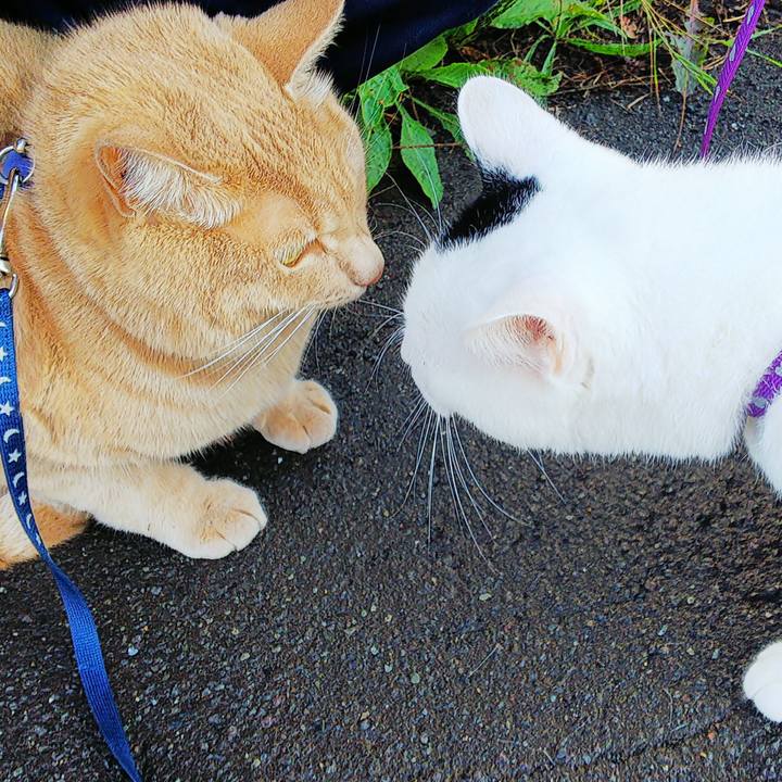 E71162da 096c 466b ad67 38f11f5b02c1 1568256919350