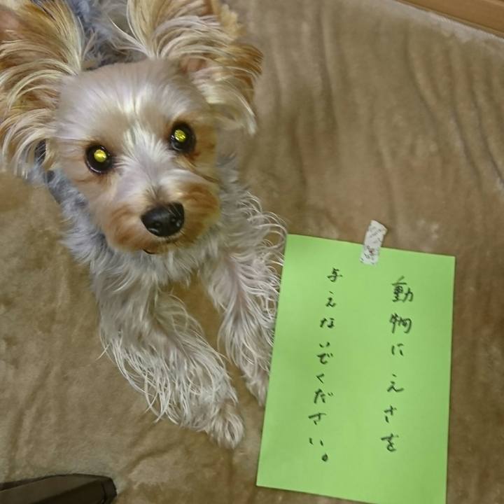 E71171b5 6423 4838 80a3 bcb2437ffbf7 1507875467420