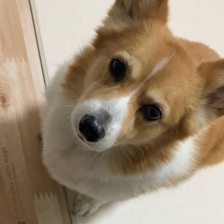 E71191f5 7da2 49e0 bac8 f3000ff84b4b 1675241437854