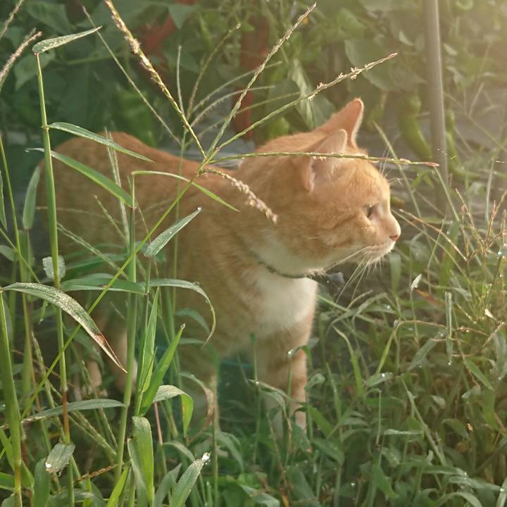 E711a533 5940 477d 873a 11aa27e20b20 1567112541984