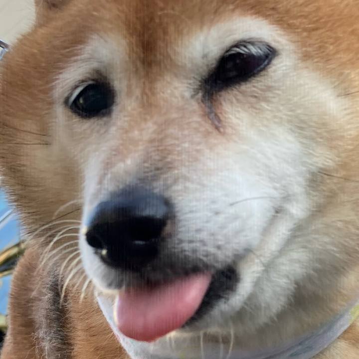 E711bf7f 6023 40db 82aa 6e7930f73624 1660125270926