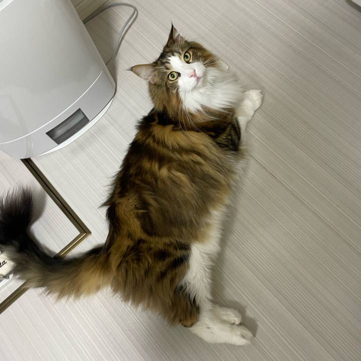 E711cdb3 1913 4bf9 9492 d0896fdef6a1 1703705454666