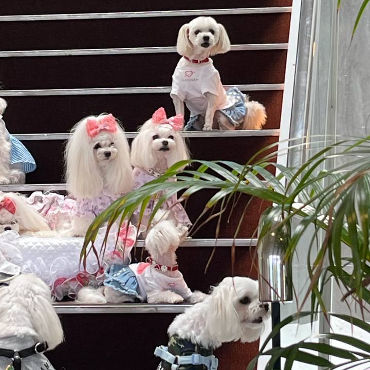 E7123e9b daf8 4a95 8a5a 13b1d0c15954 1725717169731