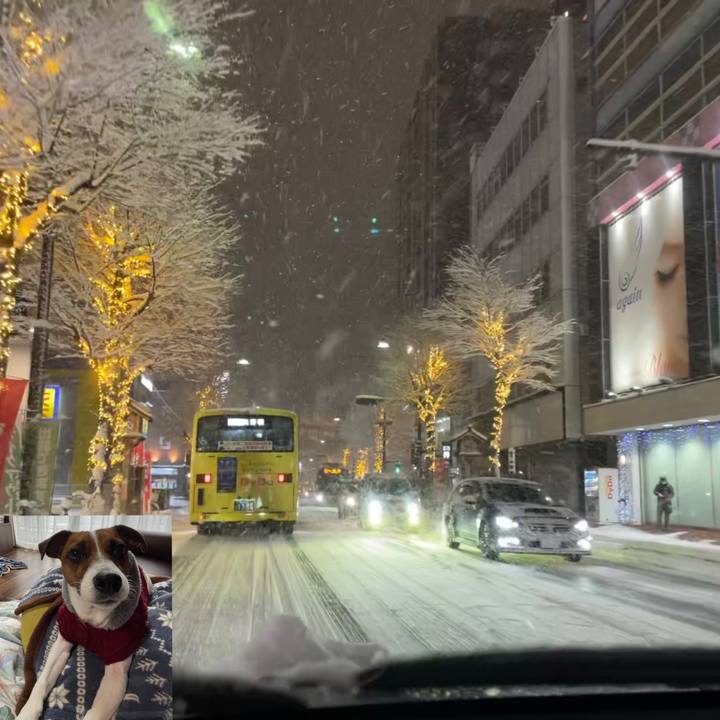 E71284c0 fc04 4ecf 9e90 83d403a0ea66 1642681120230