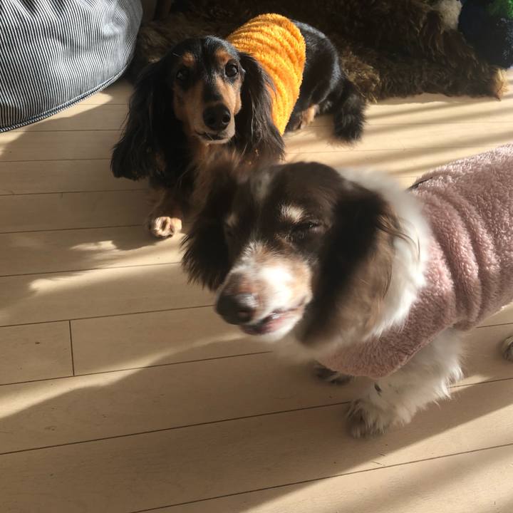 E712a171 a2e0 4b65 979c 82efa0d30400 1581982417181