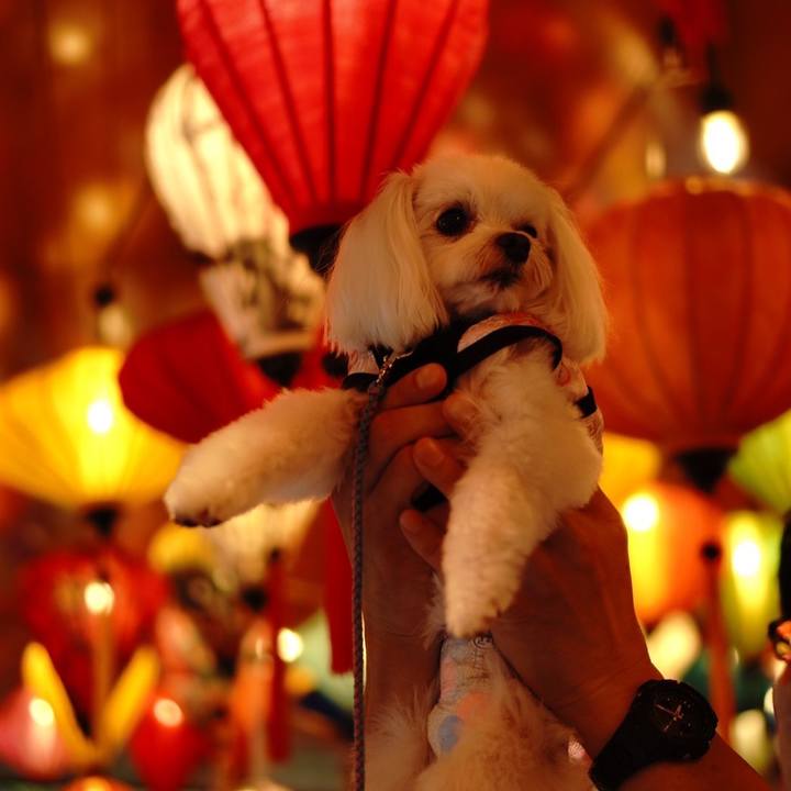 E712a2f0 e952 4528 a5ae 3d38ec072acc 1662675330804