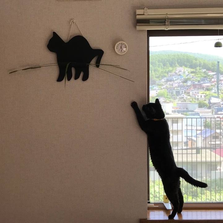 E712a4f6 acb7 4a8d b403 4b7babaed625 1566042685118