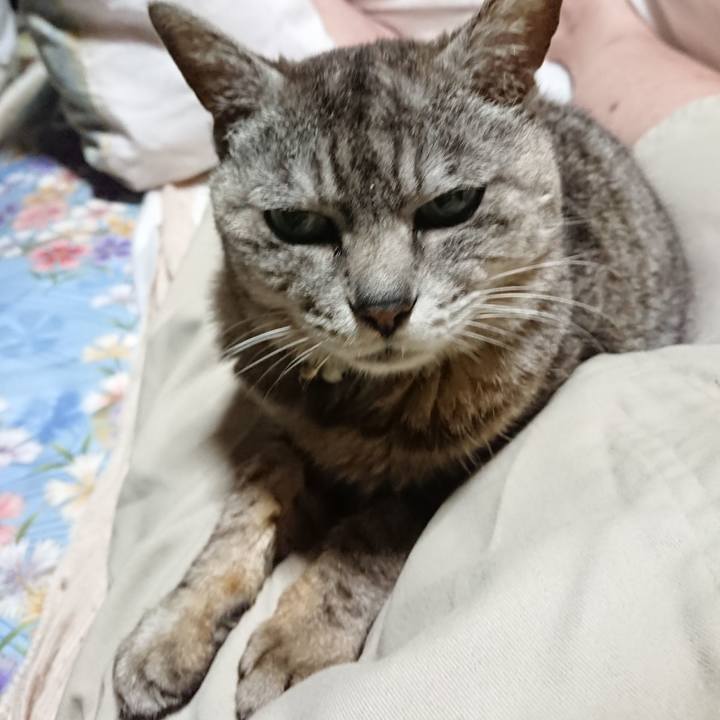 E712b977 4506 4ae1 98da 7dd0222503eb 1563884047787